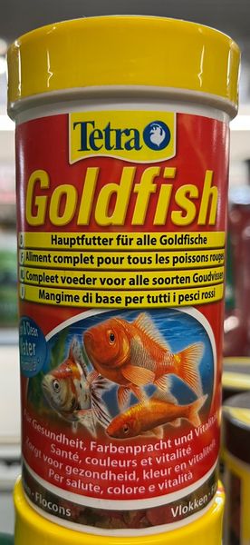 Tetra Goldfish